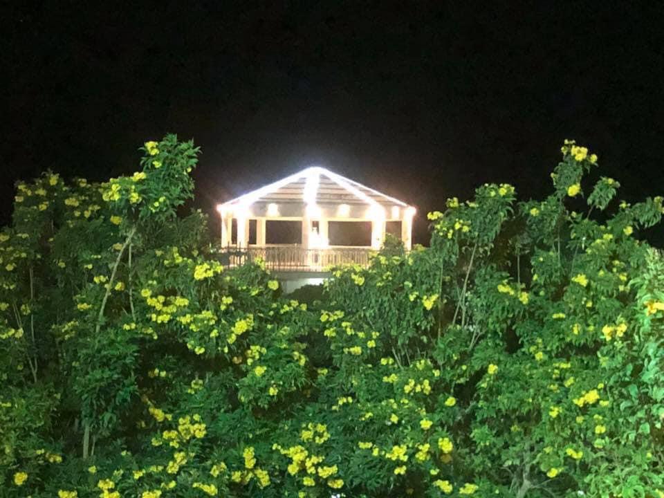 Lit gazebo glowing above the gardens at night
