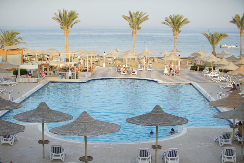 Pool fringed with tall palms facing the Red Sea