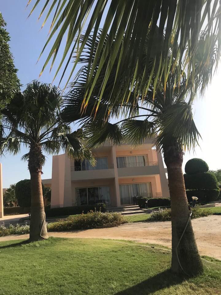 Villa framed by tall palm trees